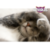 Whiskas 1+ Karma dla kota tuńczyk w galaretce 400g