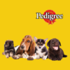 Pedigree Vital Protection Junior Karma Kurczak z Ryżem 100g