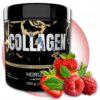 Collagen Horizon by ActivLab 300g Truskawka-malina / 3IHCOL
