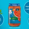 Gerber Zupka pomidorowa z ryżem dla dzieci po 12. miesiącu 250 g