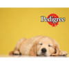 Pedigree Junior puszka z kurczakiem w galaretce 2 x  400g