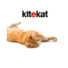 Kitekat Karma z wołowiną w galaretce dla kota saszetka 100g