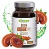 Reishi Biowen 90 kapsułek Grzyby witalne Lakownica żółtawa / B1KC3