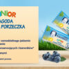 Gerber Junior Batonik jagoda czarna porzeczka dla dzieci po 12. miesiącu 25 g