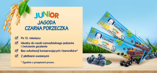 Gerber Junior Batonik jagoda czarna porzeczka dla dzieci po 12. miesiącu 25 g
