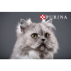 Purina One Sterile Cat karma dla kotów 450g