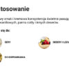 Monini glaze malinowy