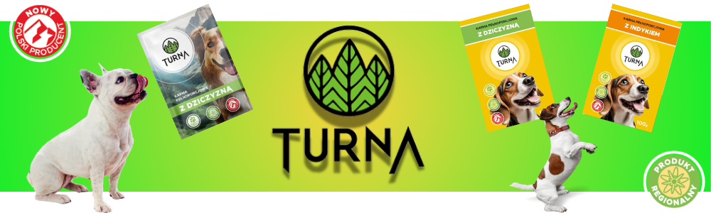 Turna