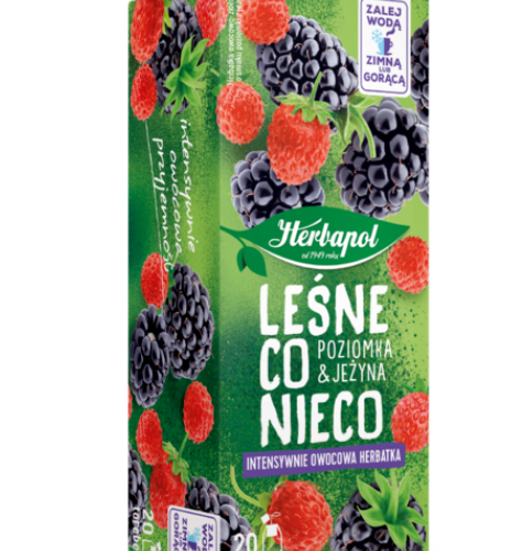 Herbata Herbapol LEŚNE CO NIECO Poziomka Jeżyna 20tb*2g
