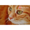 Friskies Sterilized Karma dla kotów wysterylizowanych 300g