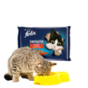 Felix Fantastic Karma dla kotów wiejskie smaki w galaretce 340 g (4 x 85g)