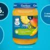 Gerber Owoce tropikalne z tapioką dla niemowląt po 6. miesiącu 190 g
