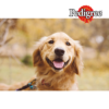 Pedigree Biscrok Multi Mix Przysmaki dla psa 200g