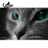 Sheba Sauce Speciale Karma dla kota indyk z warzywami w sosie 85g