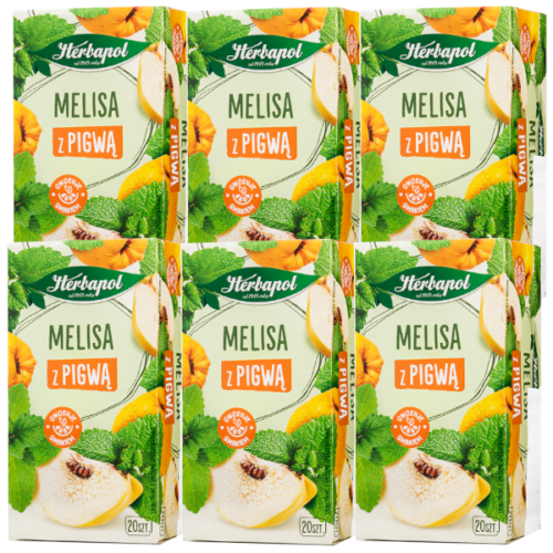 Herbapol - Melisa z pigwą 6x35 g (20 x 1,75 g) PAKIET